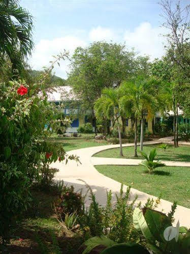 Nanny Cay Hotel Road Town (Tortola) Exterior foto